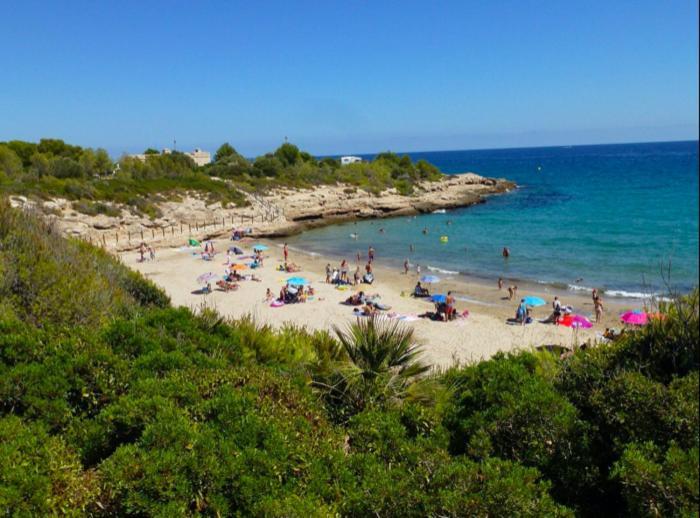 Estudio I Ideal Para Parejas En La Playa Alguer L'Ametlla de Mar Dış mekan fotoğraf